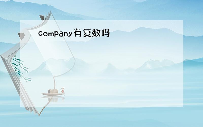 company有复数吗