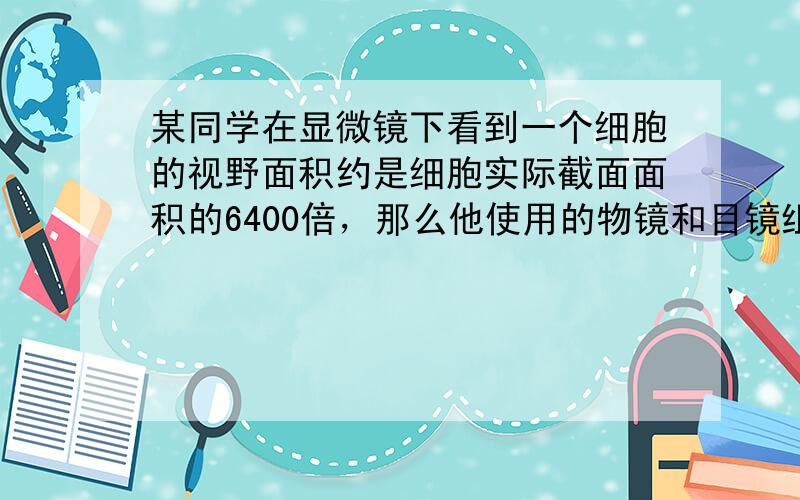 某同学在显微镜下看到一个细胞的视野面积约是细胞实际截面面积的6400倍，那么他使用的物镜和目镜组合可能是（　　）