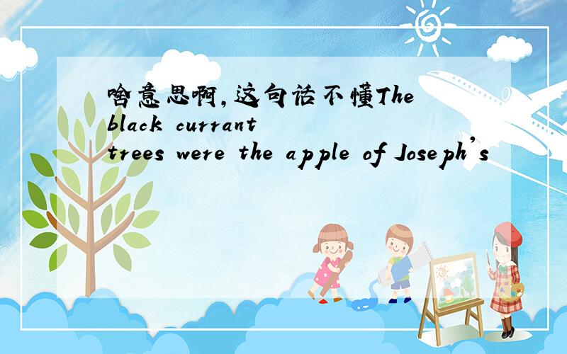 啥意思啊,这句话不懂The black currant trees were the apple of Joseph's