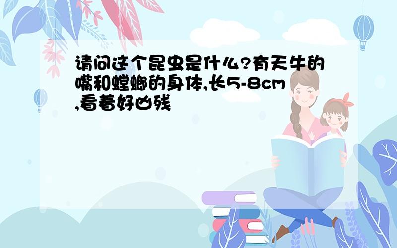 请问这个昆虫是什么?有天牛的嘴和螳螂的身体,长5-8cm,看着好凶残