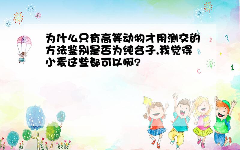 为什么只有高等动物才用测交的方法鉴别是否为纯合子,我觉得小麦这些都可以啊?