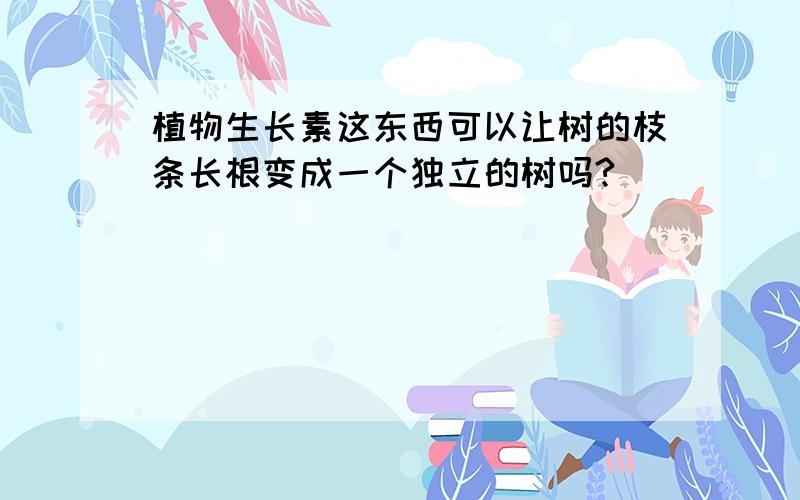 植物生长素这东西可以让树的枝条长根变成一个独立的树吗?