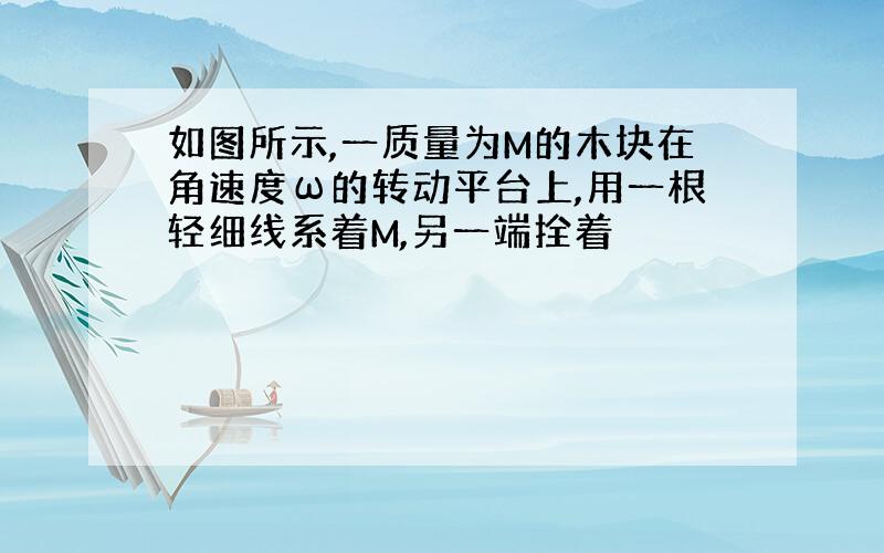 如图所示,一质量为M的木块在角速度ω的转动平台上,用一根轻细线系着M,另一端拴着