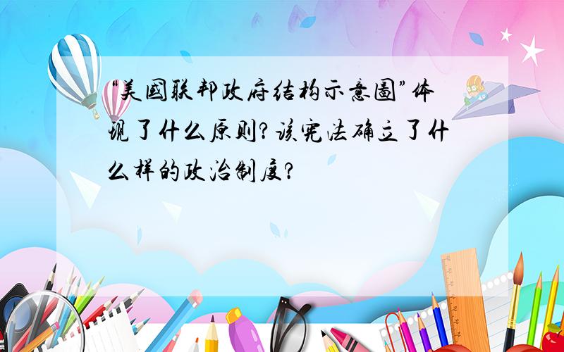 “美国联邦政府结构示意图”体现了什么原则?该宪法确立了什么样的政治制度?