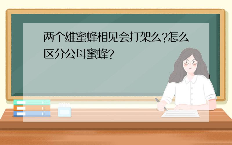 两个雄蜜蜂相见会打架么?怎么区分公母蜜蜂?