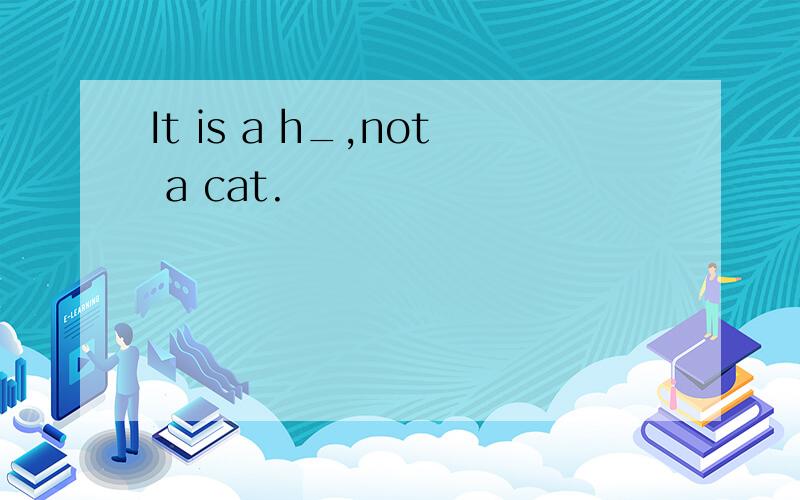 It is a h_,not a cat.