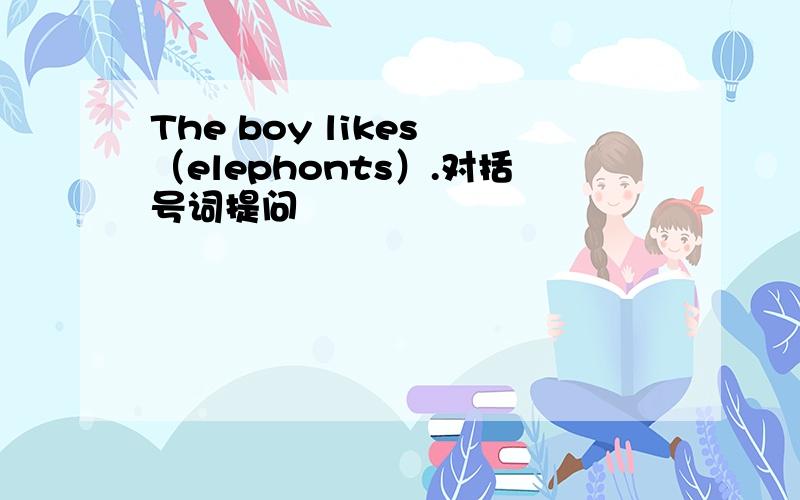 The boy likes （elephonts）.对括号词提问