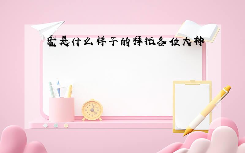 鼋是什么样子的拜托各位大神