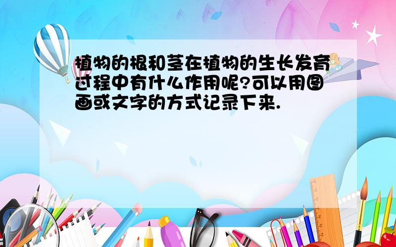 植物的根和茎在植物的生长发育过程中有什么作用呢?可以用图画或文字的方式记录下来.