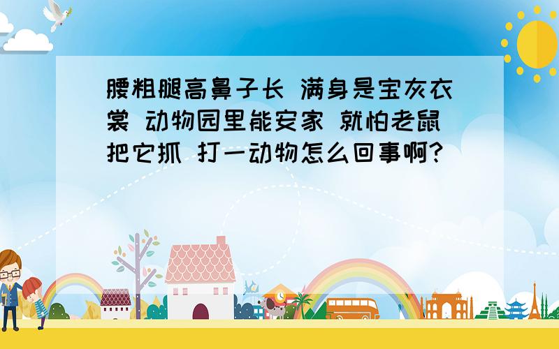 腰粗腿高鼻子长 满身是宝灰衣裳 动物园里能安家 就怕老鼠把它抓 打一动物怎么回事啊?