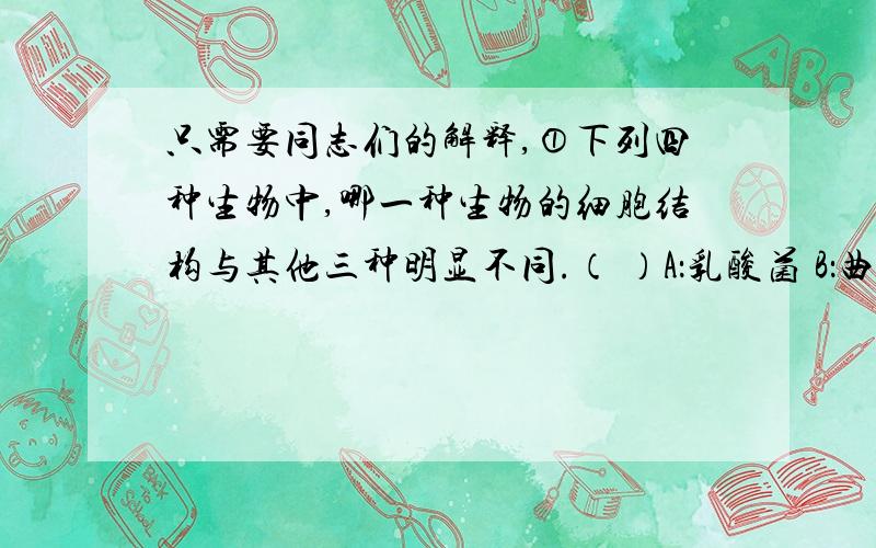 只需要同志们的解释,①下列四种生物中,哪一种生物的细胞结构与其他三种明显不同.（ ）A：乳酸菌 B：曲霉菌 C：酵母菌