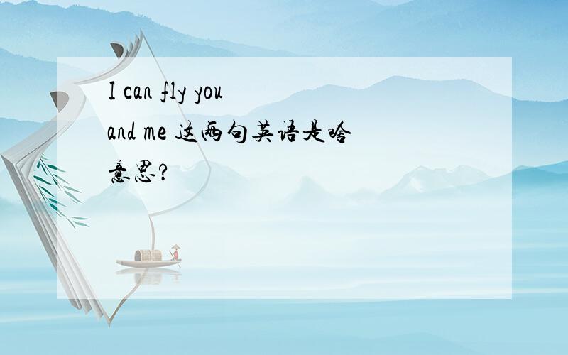 I can fly you and me 这两句英语是啥意思?