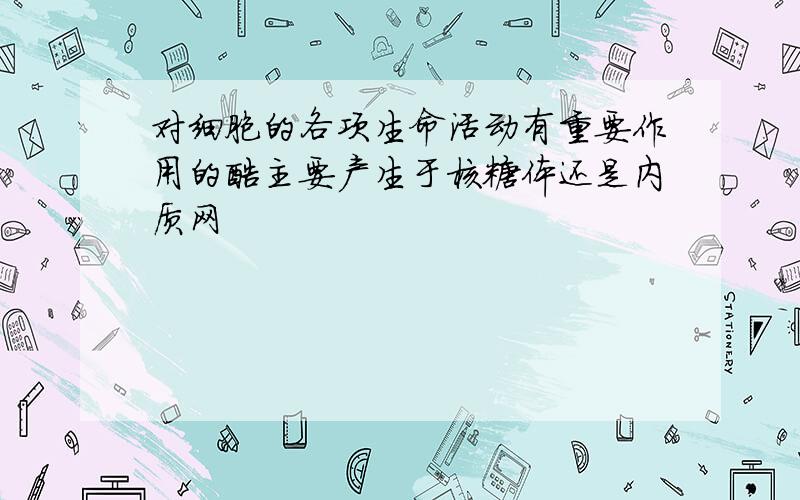 对细胞的各项生命活动有重要作用的酶主要产生于核糖体还是内质网