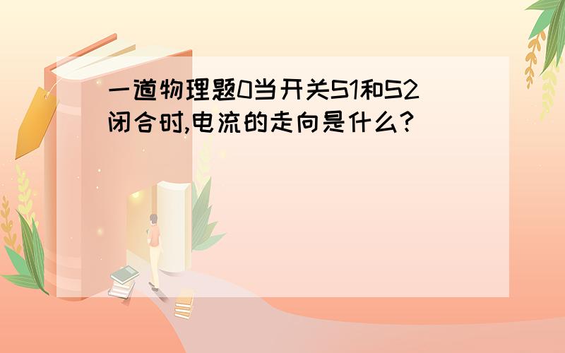 一道物理题0当开关S1和S2闭合时,电流的走向是什么?