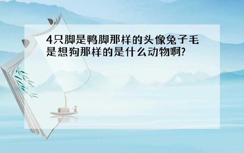 4只脚是鸭脚那样的头像兔子毛是想狗那样的是什么动物啊?