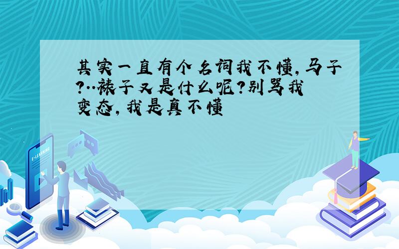 其实一直有个名词我不懂,马子?..裱子又是什么呢?别骂我变态,我是真不懂