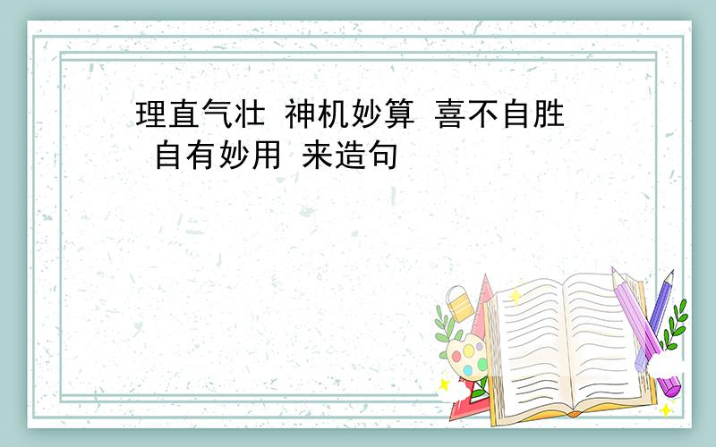 理直气壮 神机妙算 喜不自胜 自有妙用 来造句