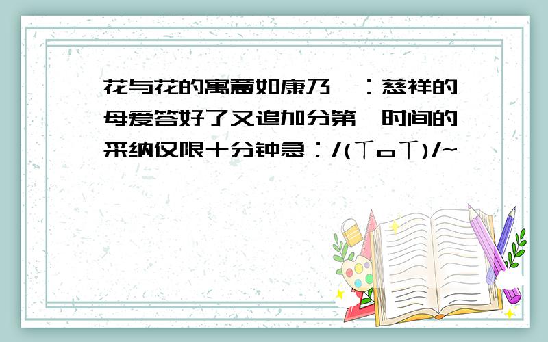 花与花的寓意如康乃馨：慈祥的母爱答好了又追加分第一时间的采纳仅限十分钟急；/(ㄒoㄒ)/~