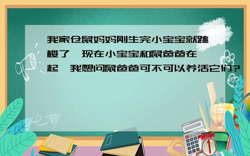 我家仓鼠妈妈刚生完小宝宝就跳楼了,现在小宝宝和鼠爸爸在一起,我想问鼠爸爸可不可以养活它们?