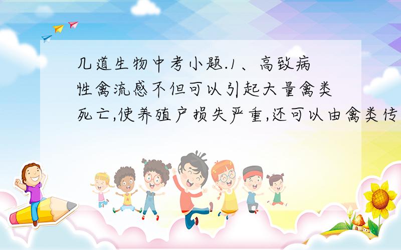 几道生物中考小题.1、高致病性禽流感不但可以引起大量禽类死亡,使养殖户损失严重,还可以由禽类传染给人类,使人致病甚至死亡