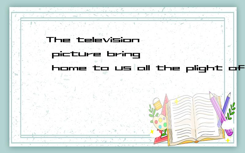 The television picture bring home to us all the plight of th