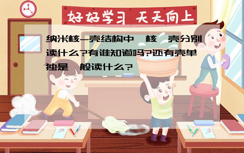 纳米核-壳结构中,核,壳分别读什么?有谁知道吗?还有壳单独是一般读什么?