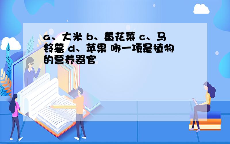 a、大米 b、黄花菜 c、马铃薯 d、苹果 哪一项是植物的营养器官