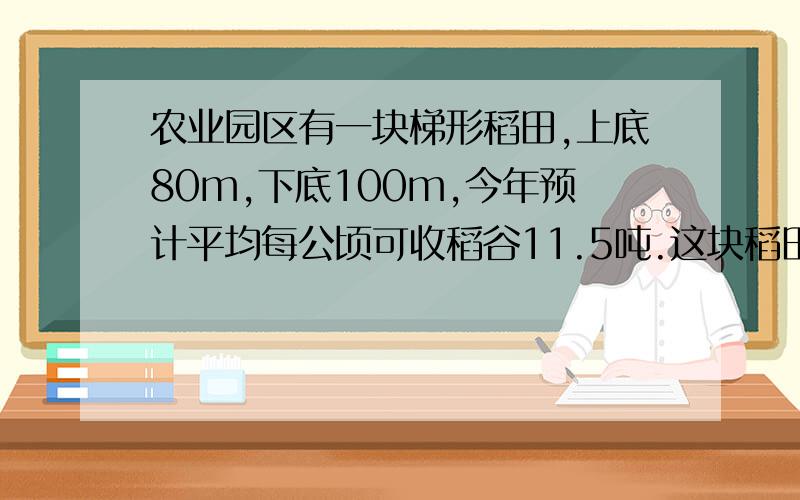 农业园区有一块梯形稻田,上底80m,下底100m,今年预计平均每公顷可收稻谷11.5吨.这块稻田预计可收多少吨