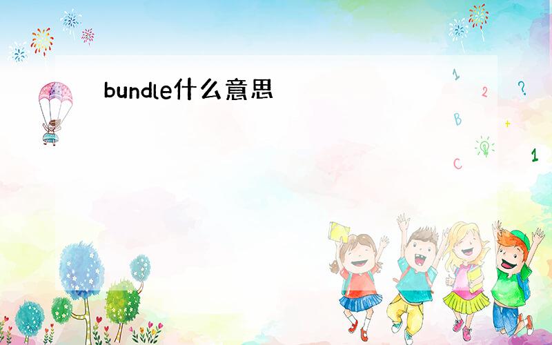 bundle什么意思