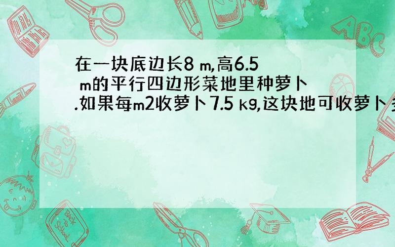 在一块底边长8 m,高6.5 m的平行四边形菜地里种萝卜.如果每m2收萝卜7.5 kg,这块地可收萝卜多少kg?