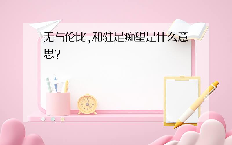 无与伦比,和驻足痴望是什么意思?