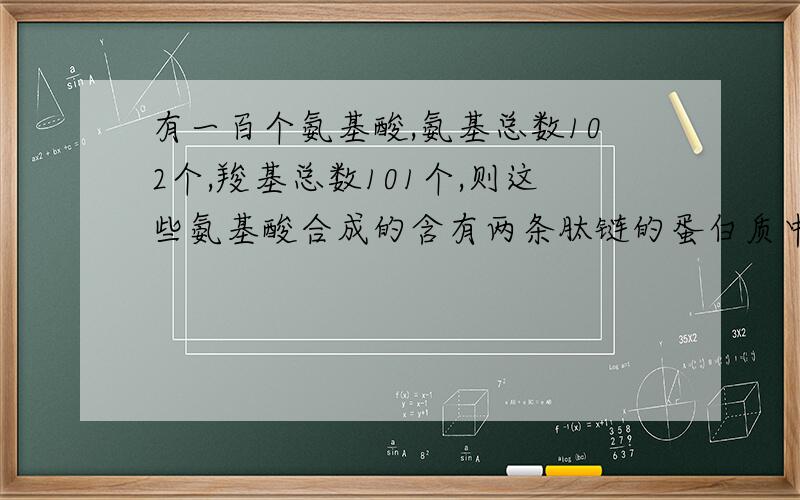 有一百个氨基酸,氨基总数102个,羧基总数101个,则这些氨基酸合成的含有两条肽链的蛋白质中,氧原子的个数?