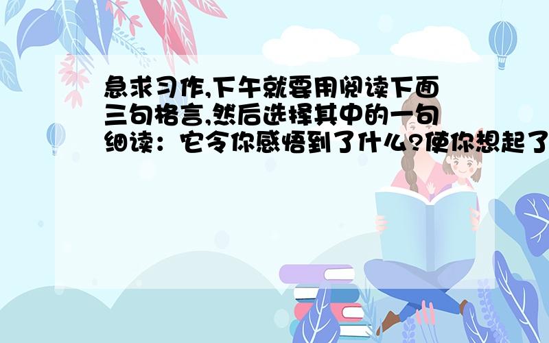 急求习作,下午就要用阅读下面三句格言,然后选择其中的一句细读：它令你感悟到了什么?使你想起了经历过的哪些事?选择印象最深