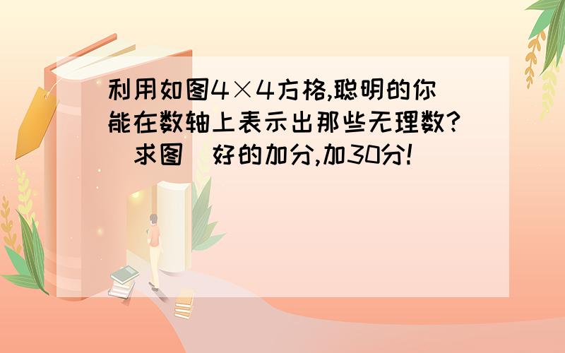 利用如图4×4方格,聪明的你能在数轴上表示出那些无理数?（求图）好的加分,加30分!