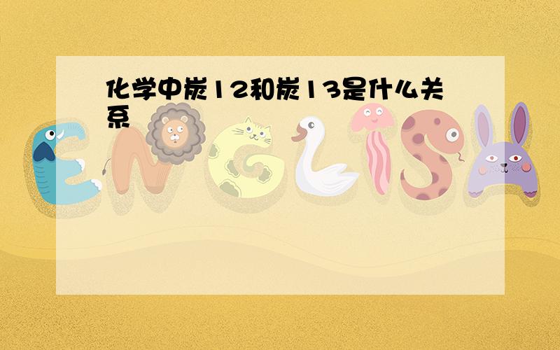 化学中炭12和炭13是什么关系