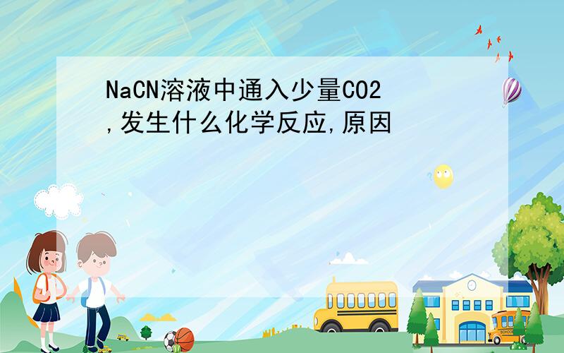 NaCN溶液中通入少量CO2,发生什么化学反应,原因