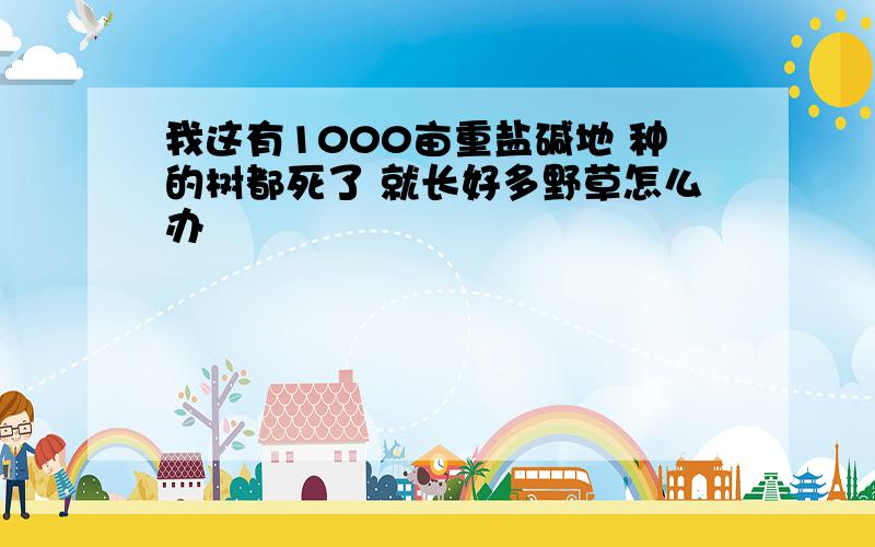 我这有1000亩重盐碱地 种的树都死了 就长好多野草怎么办