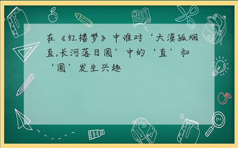 在《红楼梦》中谁对‘大漠孤烟直,长河落日圆’中的‘直’和‘圆’发生兴趣