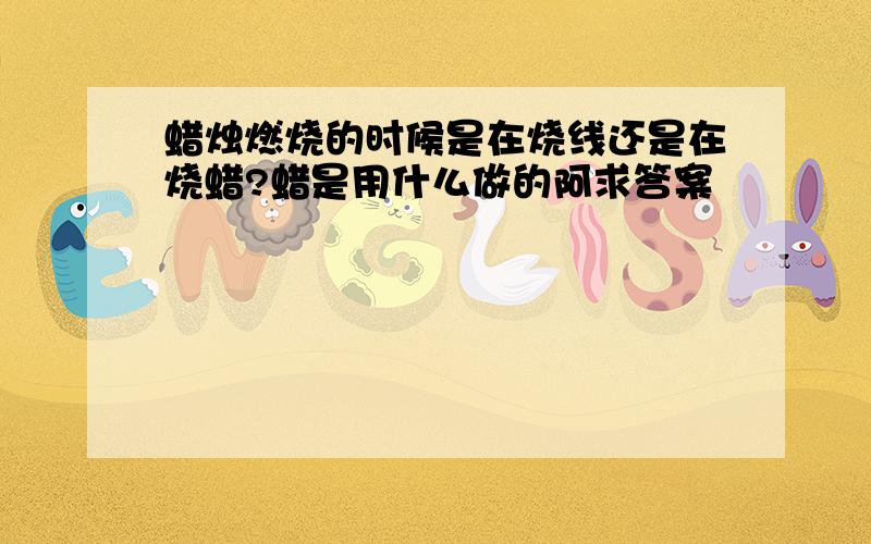 蜡烛燃烧的时候是在烧线还是在烧蜡?蜡是用什么做的阿求答案