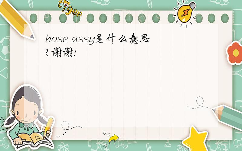 hose assy是什么意思?谢谢!