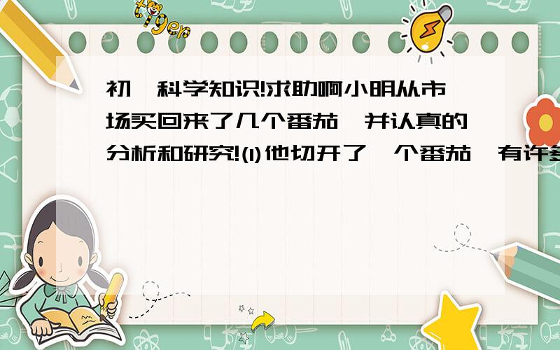 初一科学知识!求助啊小明从市场买回来了几个番茄,并认真的分析和研究!(1)他切开了一个番茄,有许多汁液流出,这些汁液是番