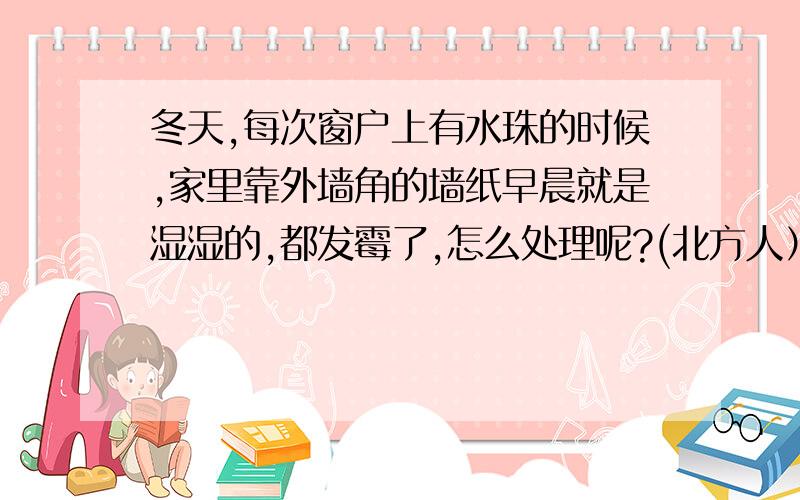 冬天,每次窗户上有水珠的时候,家里靠外墙角的墙纸早晨就是湿湿的,都发霉了,怎么处理呢?(北方人）