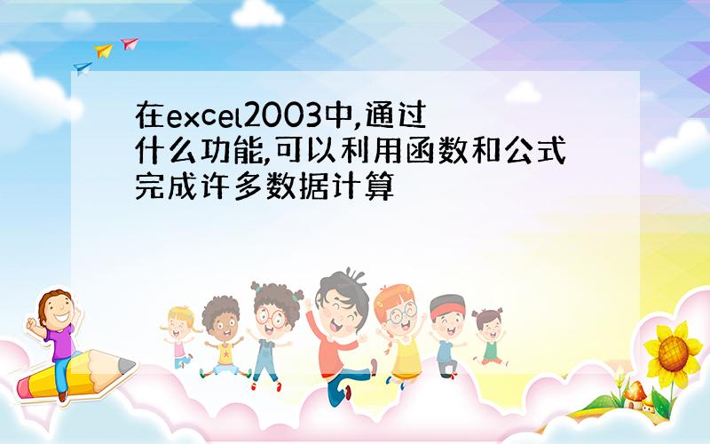 在excel2003中,通过什么功能,可以利用函数和公式完成许多数据计算