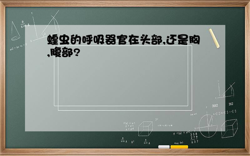 蝗虫的呼吸器官在头部,还是胸,腹部?