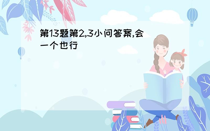 第13题第2,3小问答案,会一个也行