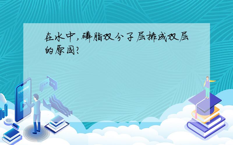 在水中,磷脂双分子层排成双层的原因?