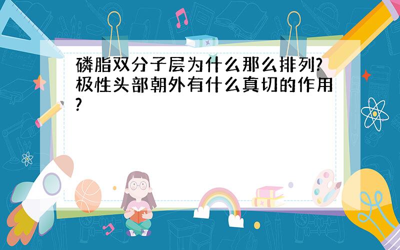 磷脂双分子层为什么那么排列?极性头部朝外有什么真切的作用?