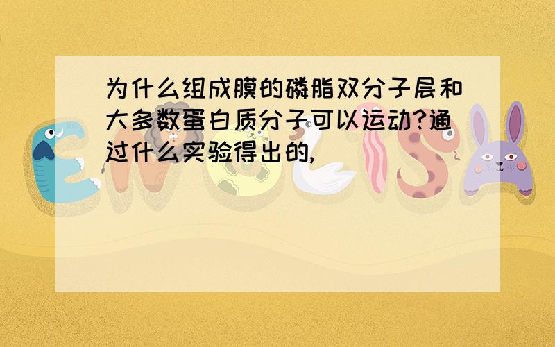 为什么组成膜的磷脂双分子层和大多数蛋白质分子可以运动?通过什么实验得出的,