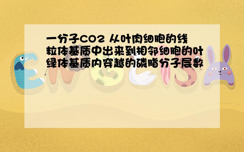 一分子CO2 从叶肉细胞的线粒体基质中出来到相邻细胞的叶绿体基质内穿越的磷脂分子层数