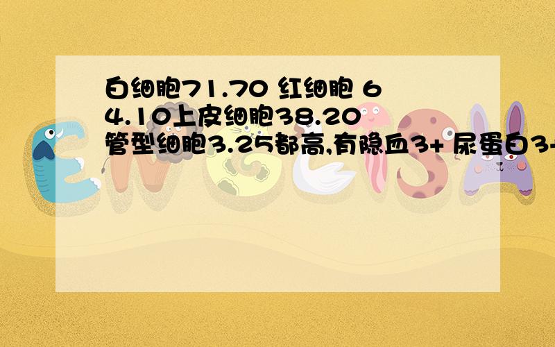 白细胞71.70 红细胞 64.10上皮细胞38.20 管型细胞3.25都高,有隐血3+ 尿蛋白3+是什么病?